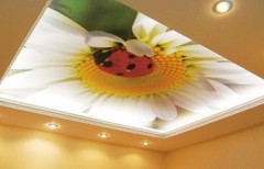 Acrylic ceilings with photo printing, Акриловые потолки с фотопечатью