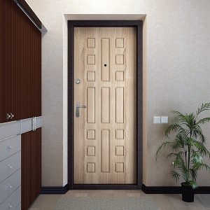 safe-door