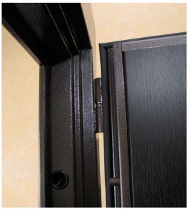 select input-safe door